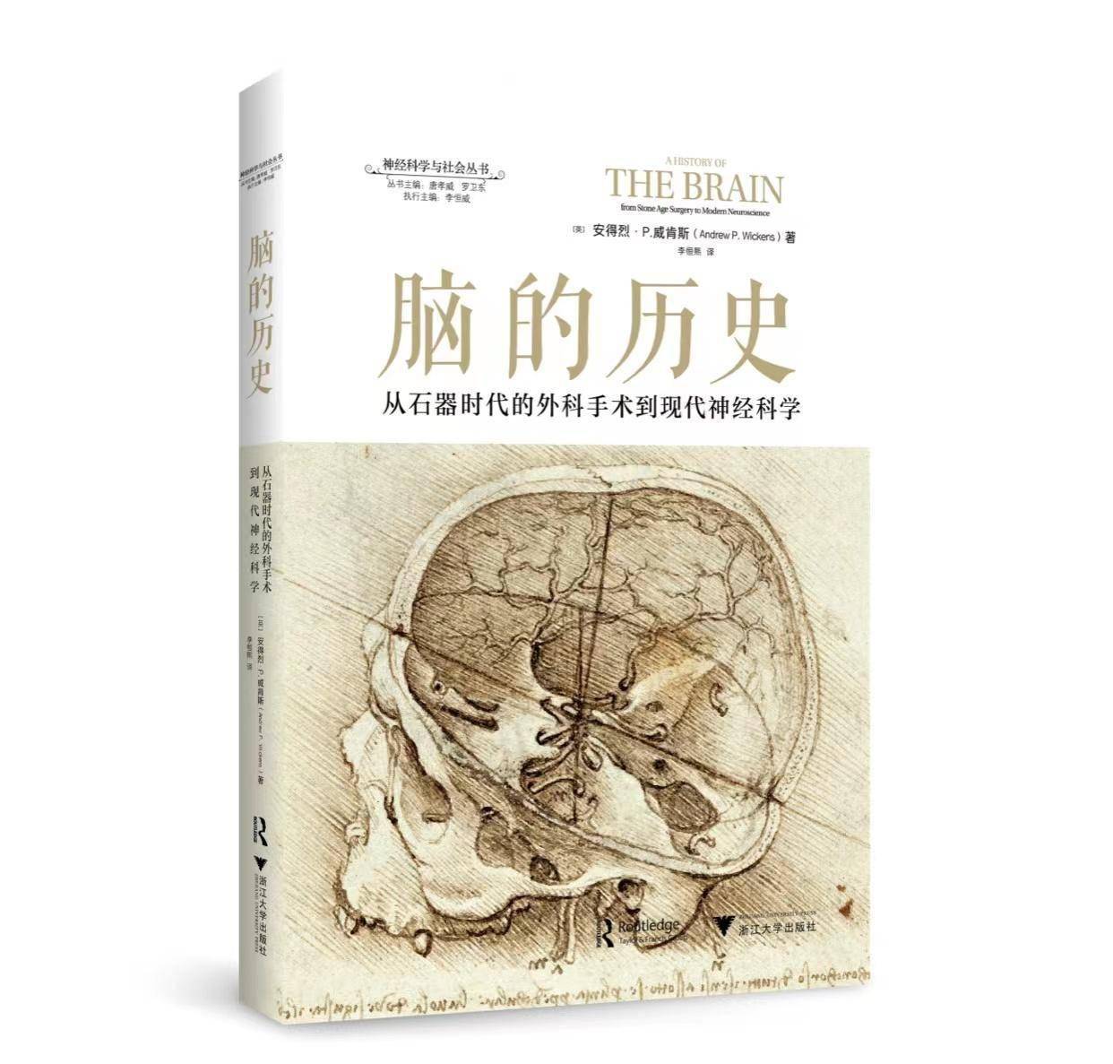 读书｜新石器时代的外科医生如何做手术？《脑的历史》揭秘最早的外科手术“环钻术”